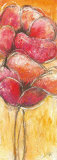 Buy Corn Poppy I at AllPosters.com