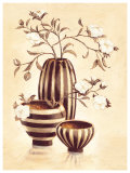 Buy Ravello at AllPosters.com