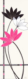 Fuchsia Lotus Flowers