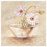 Cup of Gracile Anemones