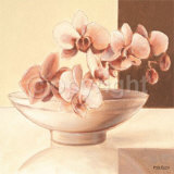 Buy Bowl with Orchids at AllPosters.com
