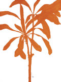 Silhouette of Palm III