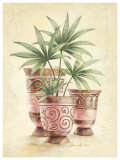 Buy Glamour at AllPosters.com