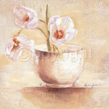 Buy Cup of White Tulips at AllPosters.com