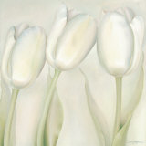 White Elegance