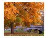Buy Fall and Bridge at AllPosters.com
