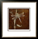 Wings & Damask VI