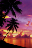 Tahitian Sunset