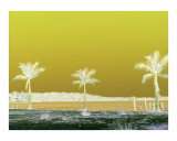 Buy Lemonscape at AllPosters.com
