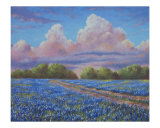 Buy Rain For The Bluebonnets at AllPosters.com