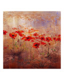 Buy Field Poppies 2 at AllPosters.com