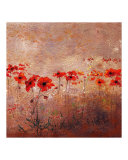 Buy Field Poppies 1 at AllPosters.com