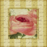Buy Rose and Romance I at AllPosters.com