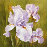Buy Spring Flair I at AllPosters.com