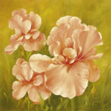 Buy Summer Flair I at AllPosters.com