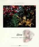 Dive