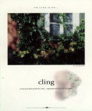 Cling