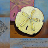 Buy Sanibel Sand Dollar at AllPosters.com