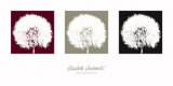 Buy Dandelion at AllPosters.com