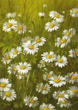 Buy Marguerite at AllPosters.com
