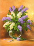 Buy Smell of Lilac II at AllPosters.com