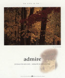 Admire