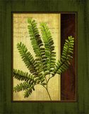 Buy Fern Grotto II at AllPosters.com