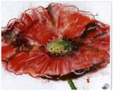 Coquelicot II