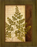 Buy Fern Grotto IV at AllPosters.com