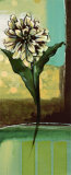 Buy Floral Splendor II at AllPosters.com
