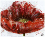 Coquelicot I