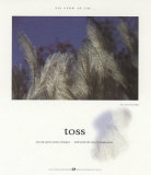 Toss