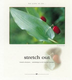 Stretch Out
