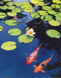Koi Pond II