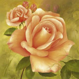 Buy Spendour at AllPosters.com