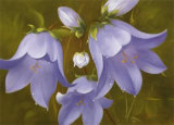 Buy Say It with Flowers I at AllPosters.com