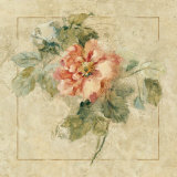 Provence Rose II Art Print