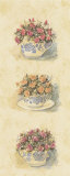 Buy Assorted Roses at AllPosters.com