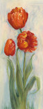 Rembrandt Tulips