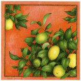 Buy Citrons at AllPosters.com