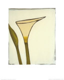 Buy Arum, c.2003 at AllPosters.com