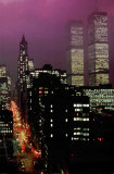 Purple Skies