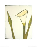 Buy Arum, c.2003 at AllPosters.com