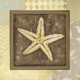 Beach Comber