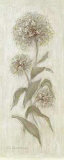Botanical