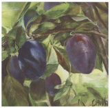 Buy Prunes at AllPosters.com