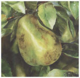 Buy Poires at AllPosters.com