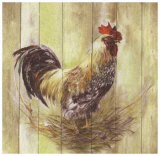 Buy Coq at AllPosters.com
