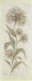 Botanical
