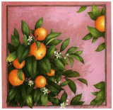 Buy Oranges at AllPosters.com